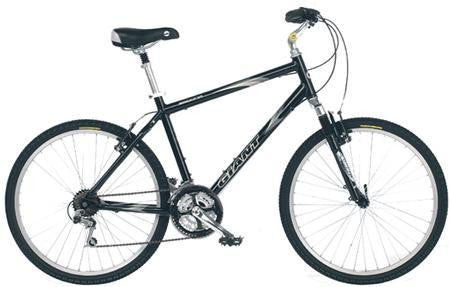 Hybrid Bike