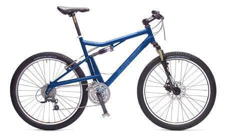 Custom Bike